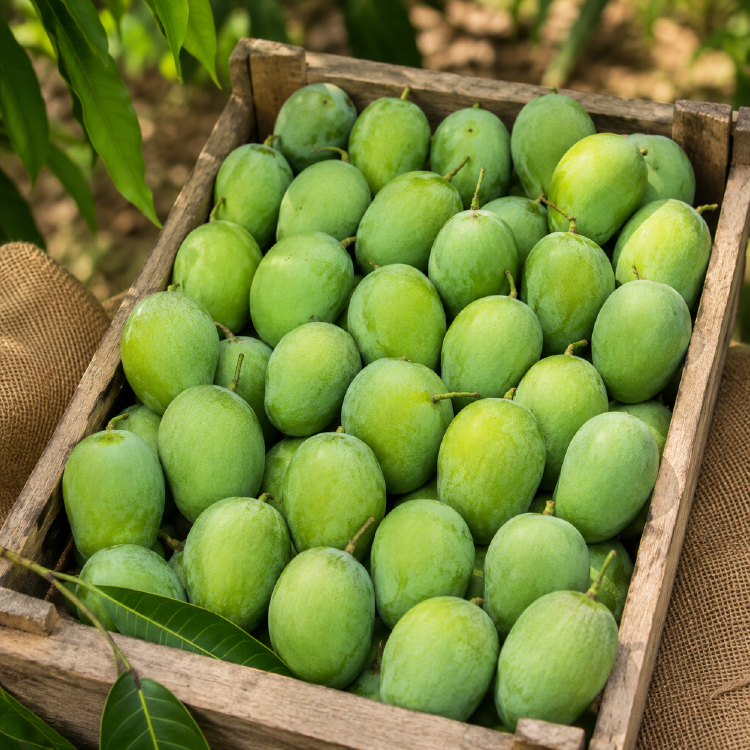 ল্যাংড়া